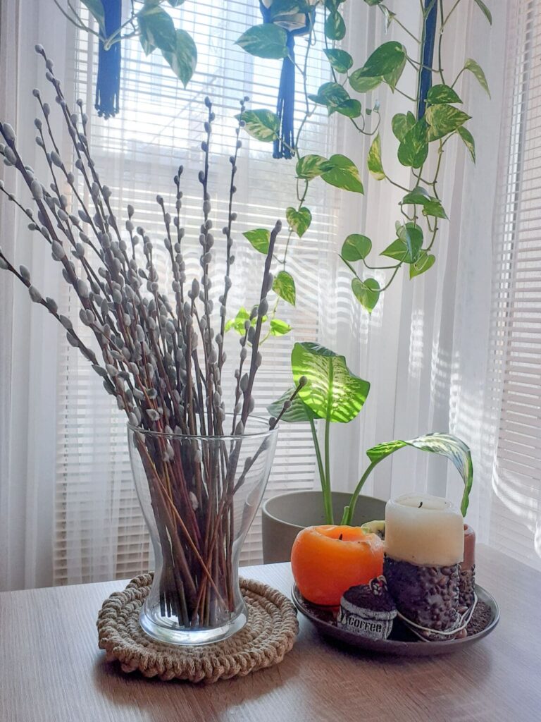 wazon z baziami stojący na okrągłej podkładce ze sznurka jutowego plecionego